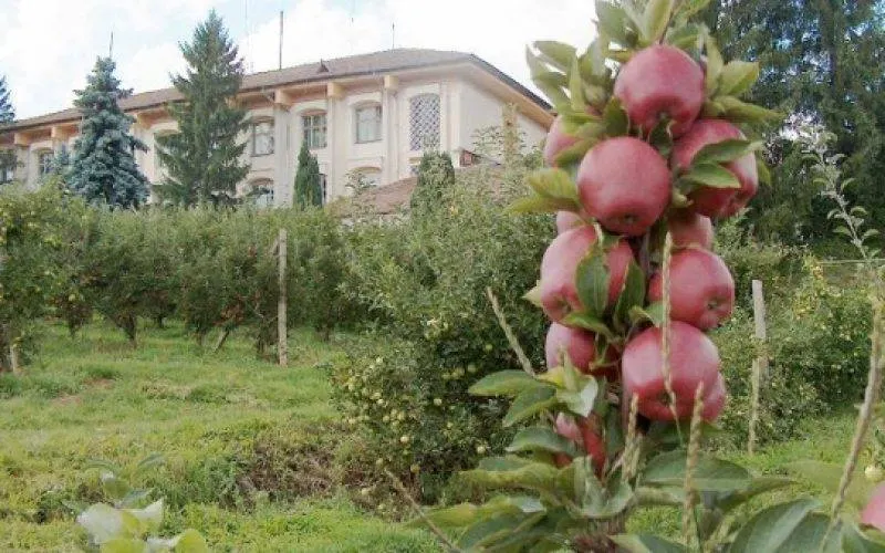 Ministrul Agriculturii, luat la rost pentru dezastrul de la Stațiunea Pomicolă Târgu Jiu