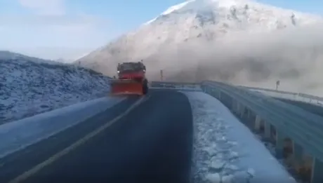 Transalpina, blocată de mai mulți brazi doborâți de vânt
