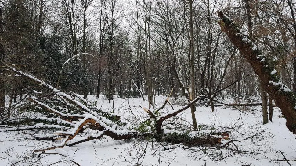 Parcul în care se află operele lui Brâncuși rămâne închis