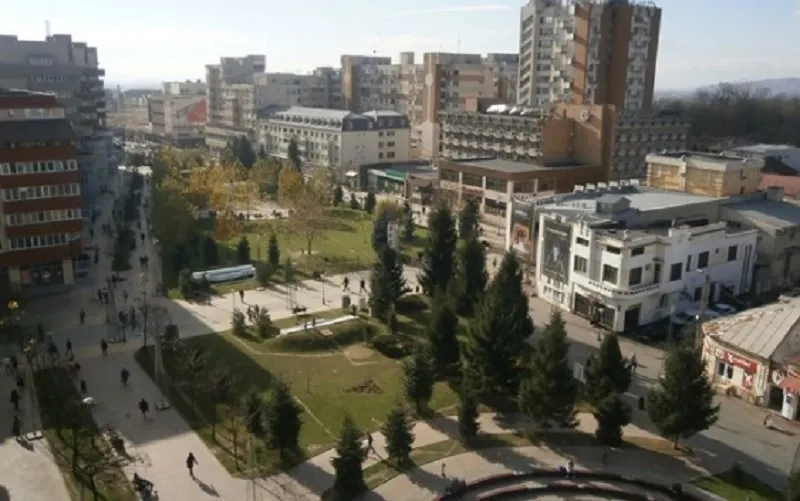 Rezultate alegeri europarlamentare: PSD a bătut la limită PNL, la Târgu Jiu