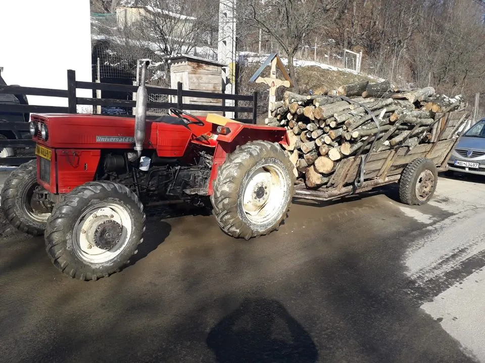 Lemne confiscate în mai multe localități din Gorj