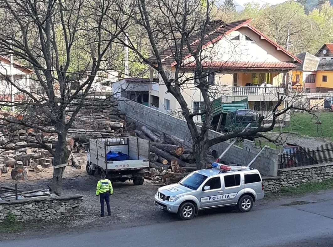 Percheziții la depozitele de cherestea din Gorj
