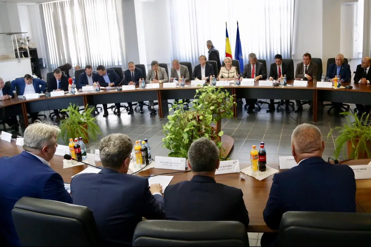 Viorica Dăncilă a vizitat Termocentrala Rovinari
