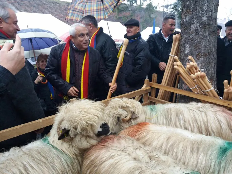 Dăncilă și Daea, invitați să urce oile la munte, în Gorj