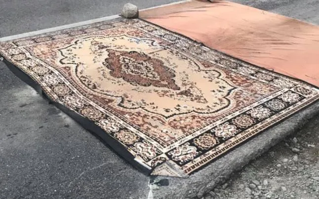 Covor persan anti-pestă porcină, în Gorj