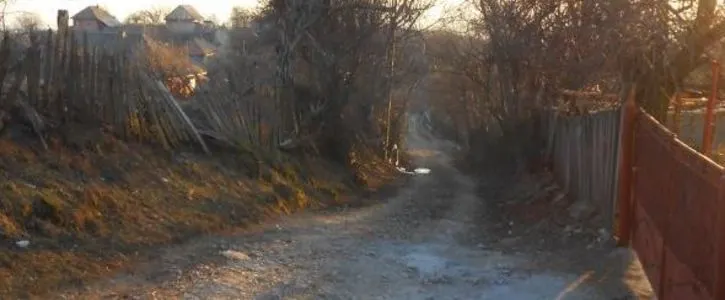 Tânără bătută pe uliță, la Polovragi