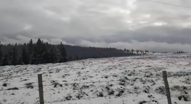 S-a depus zăpada la Rânca. Strat de 5 centimetri