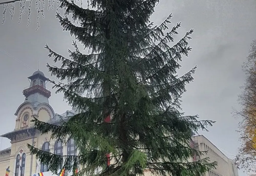 Cât costă bradul de Crăciun de la Târgu Jiu