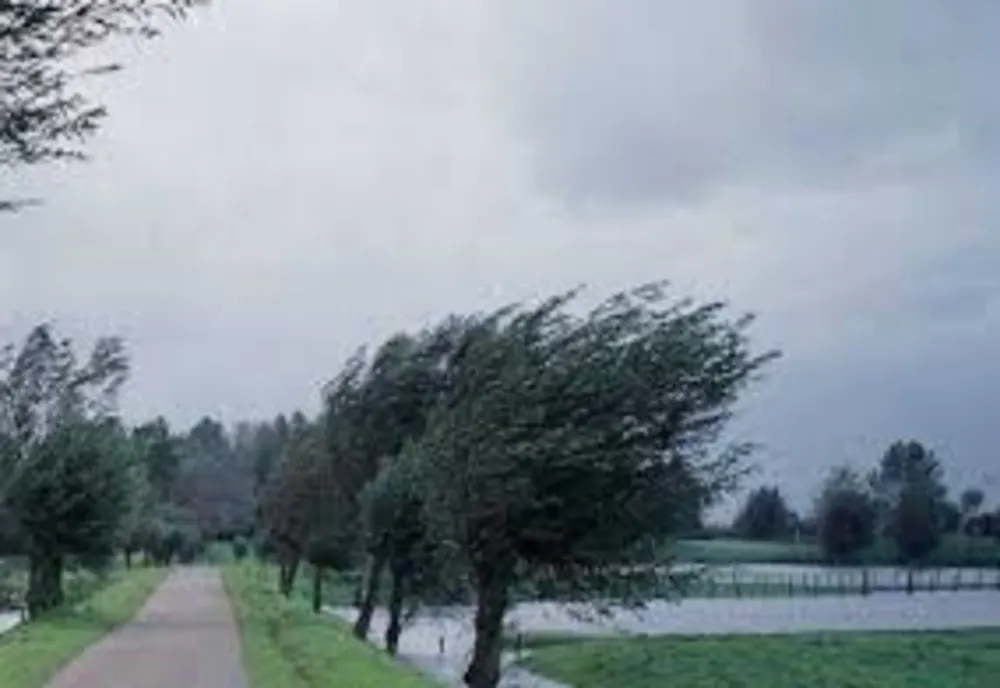 Vijelii şi ploi torenţiale, în Vâlcea şi Gorj. Meteorologii au emis coduri de avertizare