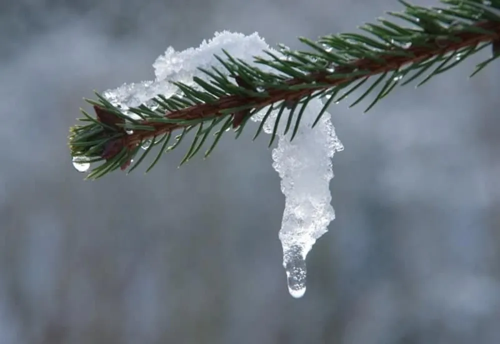 VREMEA 26 FEBRUARIE. TEMPERATURI ÎN CREȘTERE ÎN TOATĂ ȚARA