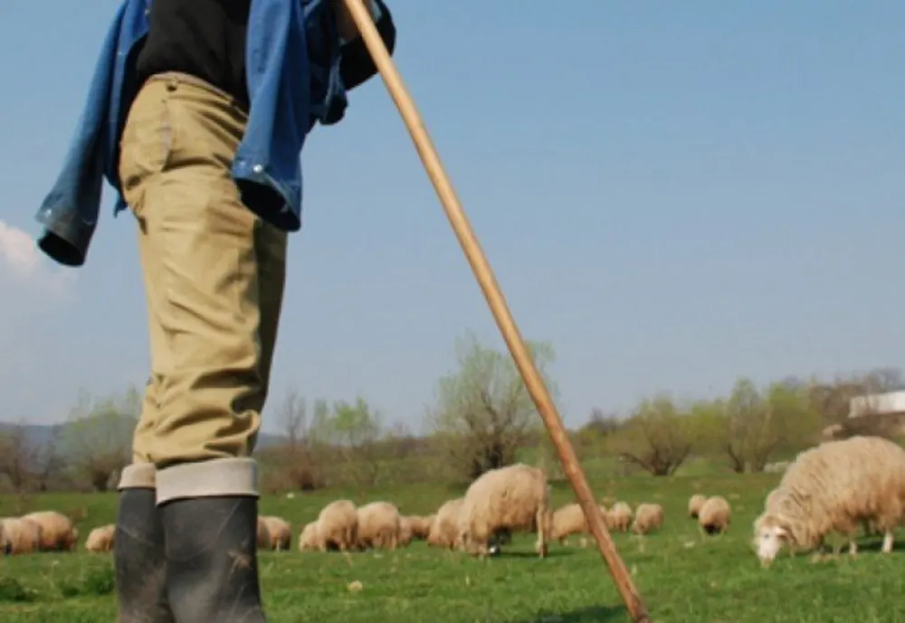 A murit după ce a fost lovit în piept cu cuţitul de un bărbat, în timp ce sacrifica un miel