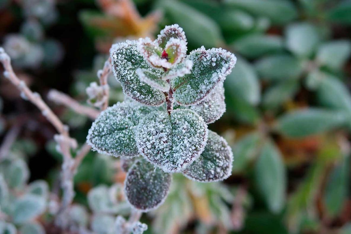 Avertizare meteo: Bruma se va așterne peste dealurile din Gorj