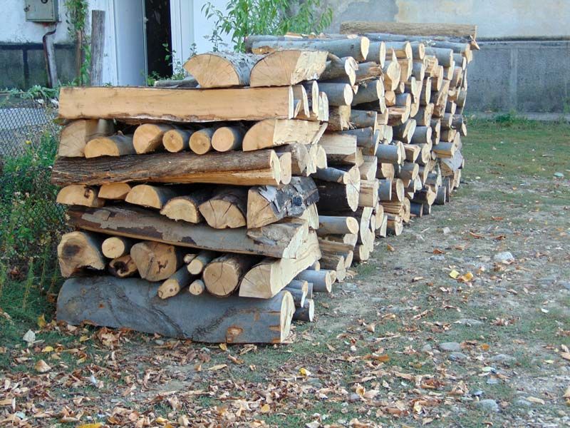 Pădurarii gorjeni vând lemn de foc la preț redus