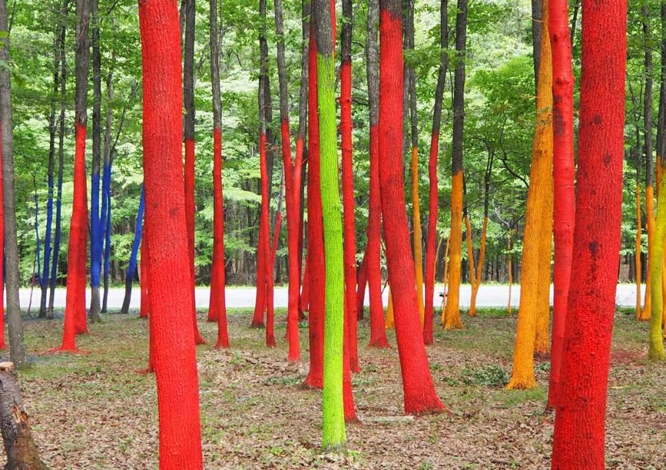 Pădurea colorată din Gorj e plină de gunoaie