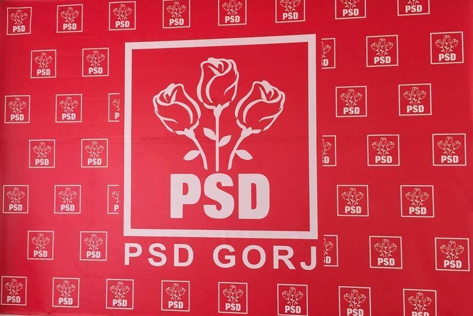 Cui ține partea PSD Gorj în războiul de la vârful partidului