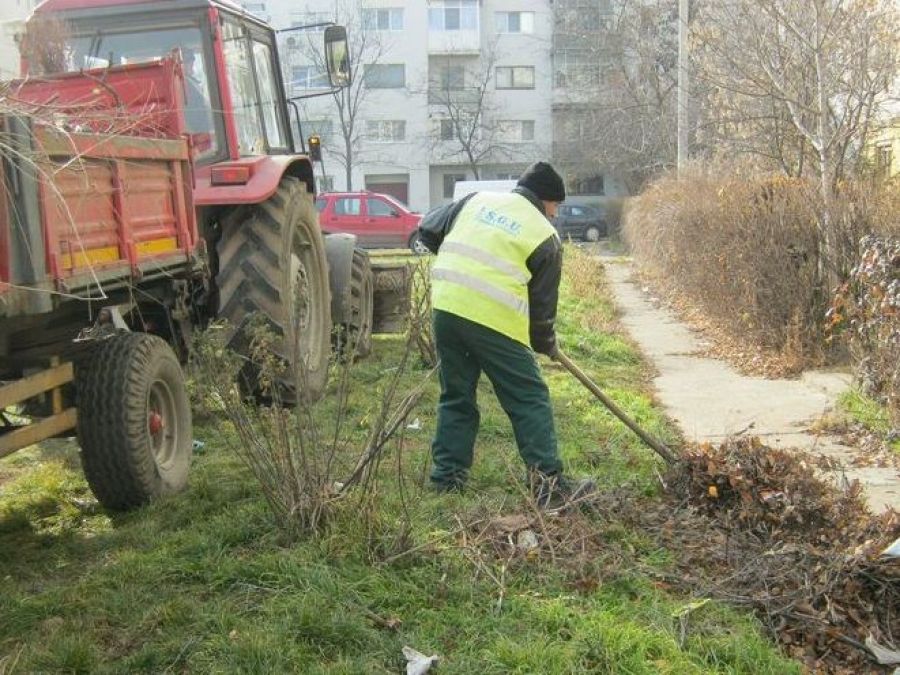 Locuitorii săraci din Rovinari pot munci pentru comunitate. O zi de lucru e plătită cu 82 de lei