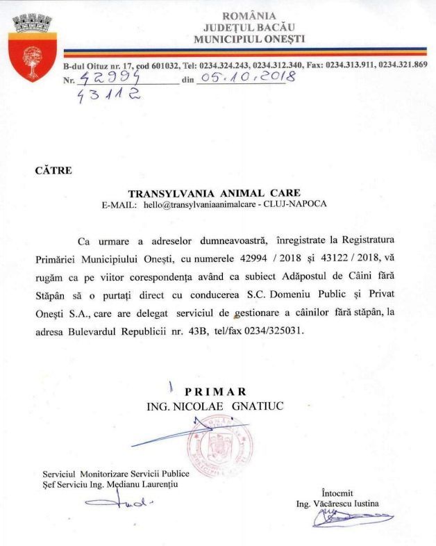 O primărie gorjeană dă bani în schimbul informațiilor despre persoanele care abandonează câini