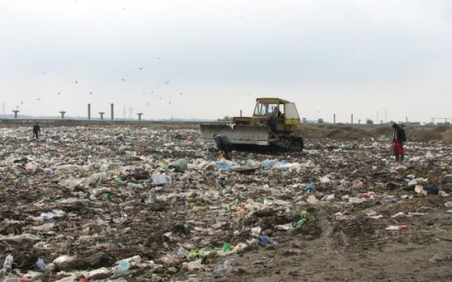 Se plantează copaci în jurul gropii de gunoi din Târgu Jiu