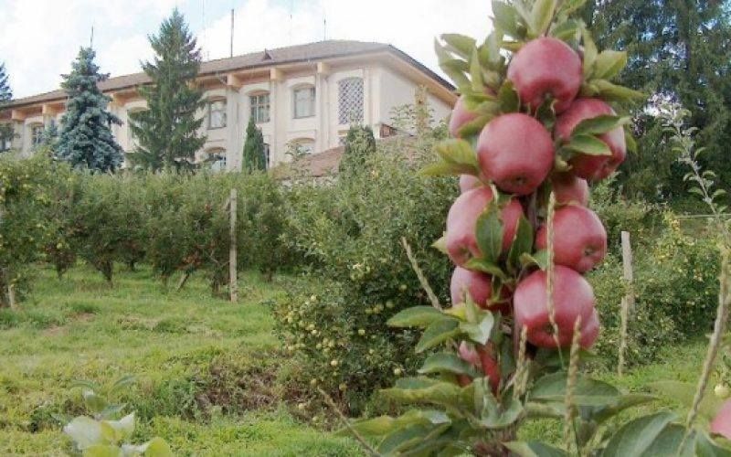 Ministrul Agriculturii, luat la rost pentru dezastrul de la Stațiunea Pomicolă Târgu Jiu