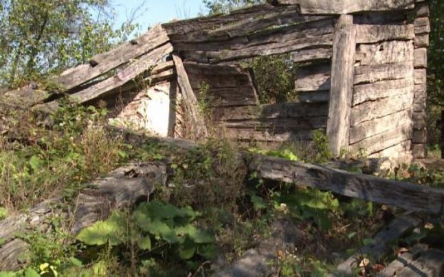 Ministerul Culturii a găsit o soluție pentru salvarea casei lui Brâncuși, dar nu o spune la nimeni