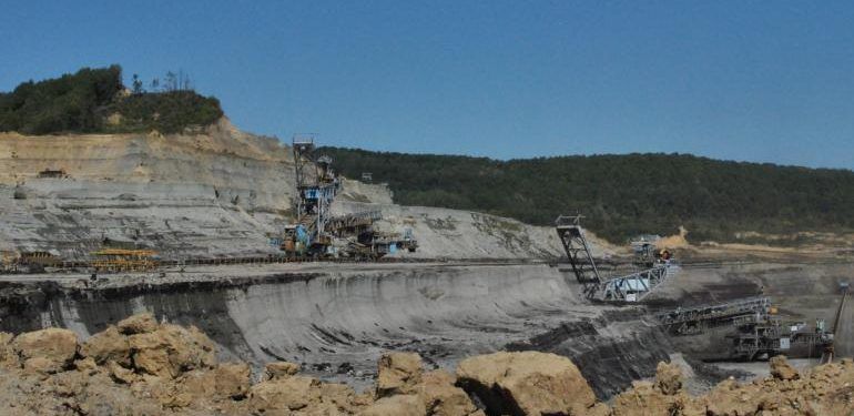 Începe marea defrișare din Gorj