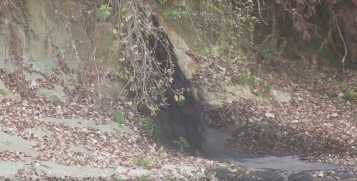 Dejecții deversate printr-o conductă în apele Gilortului | VIDEO