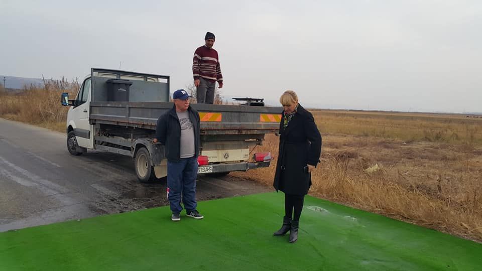 Pesta porcină, depistată foarte aproape de județul Gorj