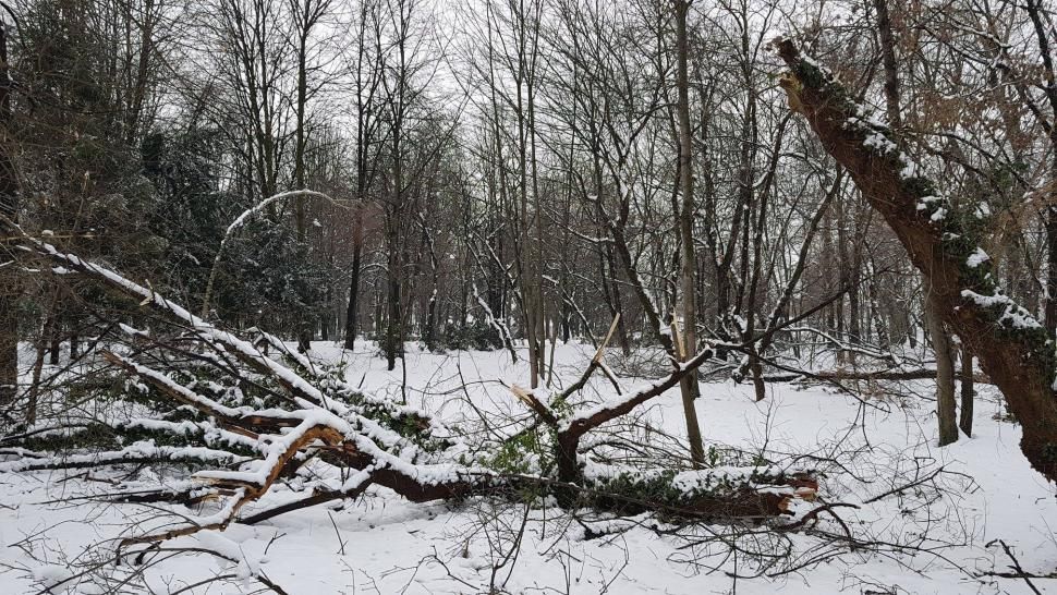 Parcul în care se află operele lui Brâncuși rămâne închis