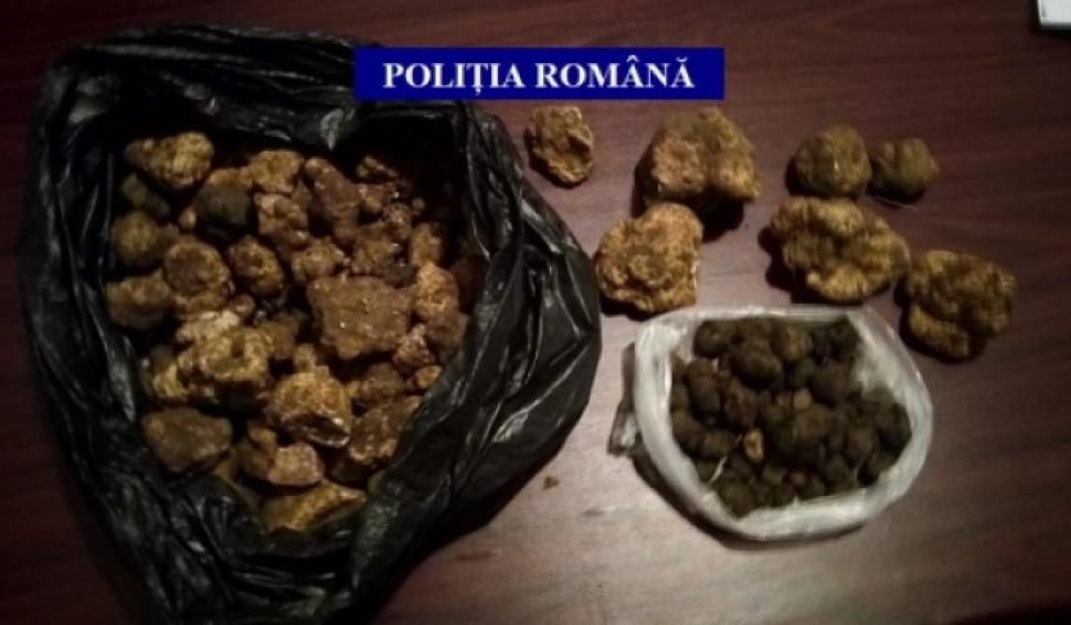 Patru kilograme de trufe, confiscate în Gorj