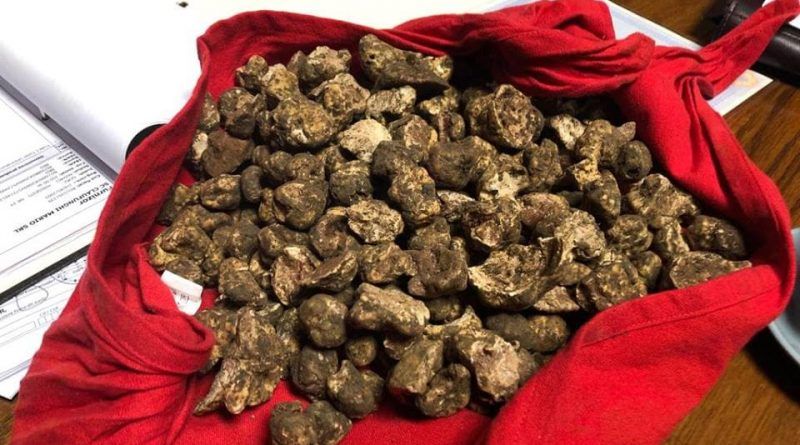 Două kilograme de trufe, confiscate în Gorj