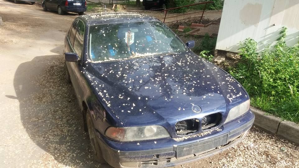 Primăria din Târgu Jiu vrea să vândă toate mașinile abandonate pe străzile orașului