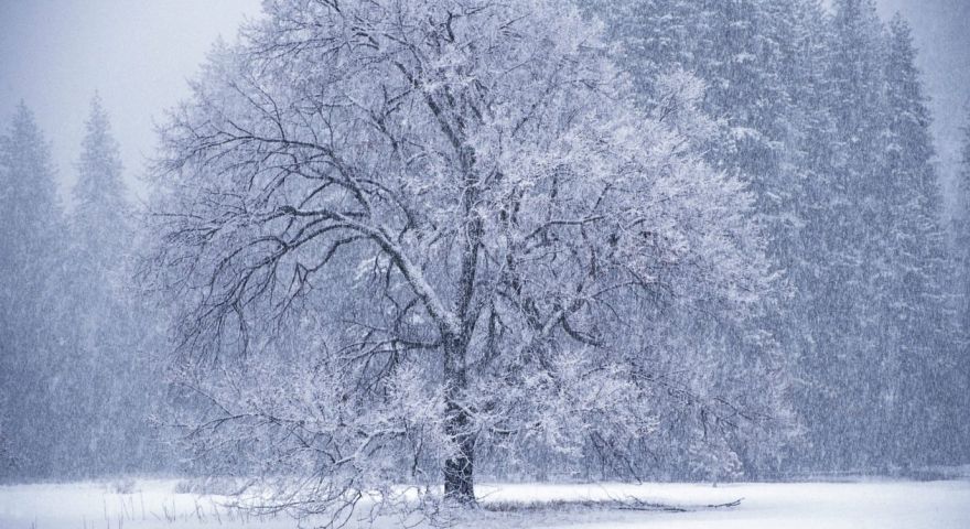 Weekend cu ninsori în Gorj