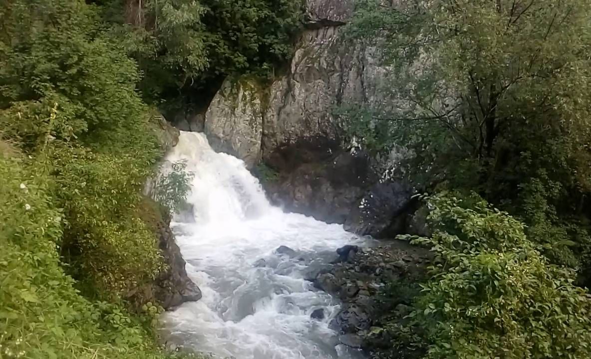 Un râu din Gorj a fost declarat zonă de refacere biologică