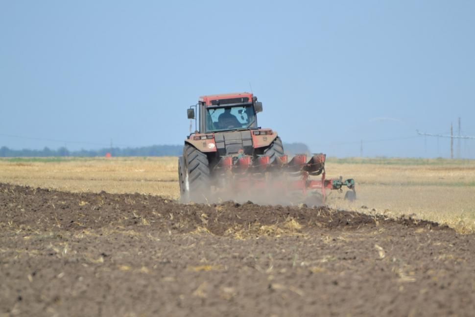 DNA a trimis în judecată un fermier din Gorj