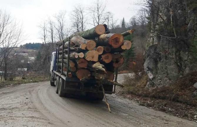 Gorjenii, primii din țară la sesizat furturile de lemne