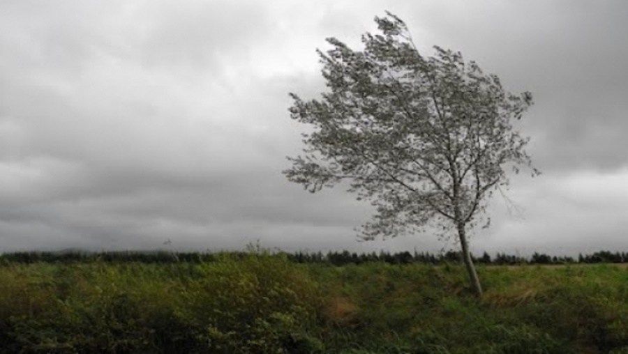 Cod galben de vânt puternic în Gorj