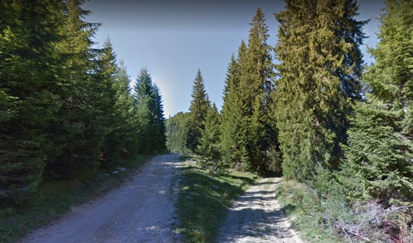 Guvernul a dat undă verde asfaltării unui drum spectaculos din Gorj | VIDEO