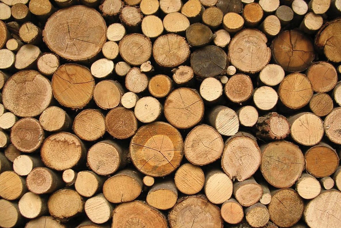 Controale la depozitele de lemne din Peștișani: Amenzi uriașe!