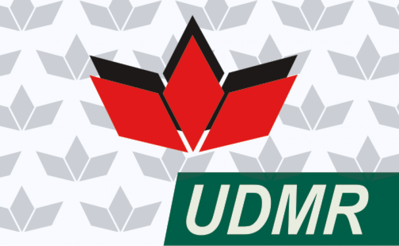 Cum a reușit UDMR să ia aproape o mie de voturi în Gorj