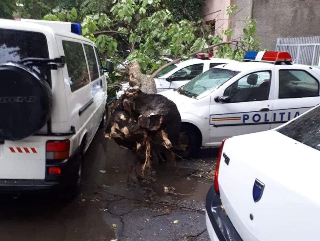 Trafic blocat pe un important drum din Gorj, după ce un copac a fost rupt de un fulger