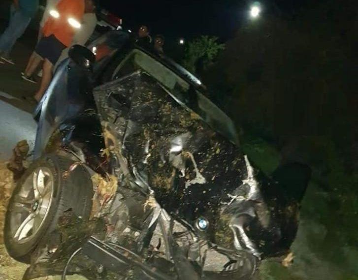 Accident în Gorj: A intrat cu mașina într-o turmă de oi