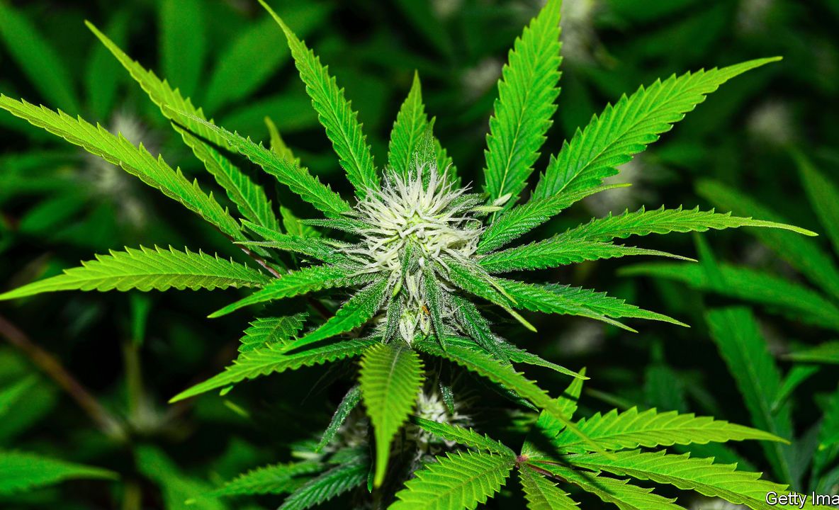 Gorjeanul Gheorghe Hagi, trimis în judecată pentru trafic de droguri