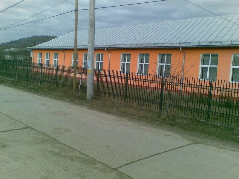 Liceul din Gorj unde a luat BAC-ul doar un elev