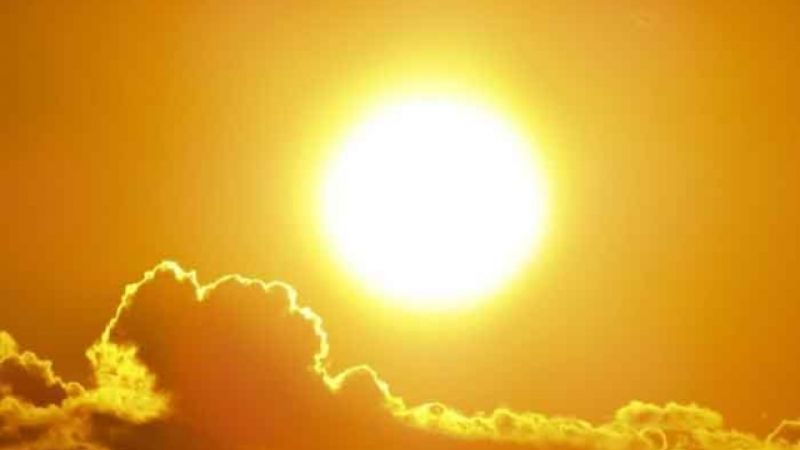 Cod galben de caniculă în Gorj