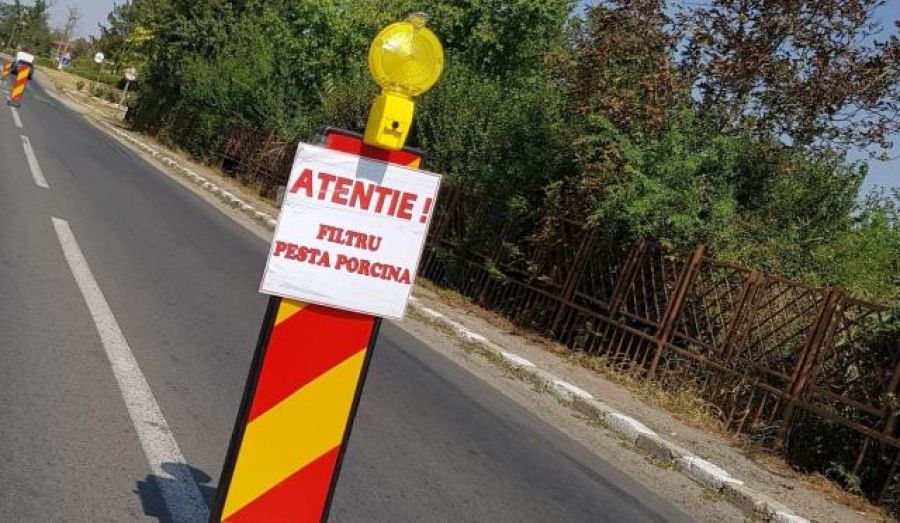 33 de focare de pestă porcină în Gorj