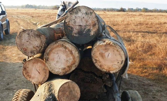 Tânăr din Gorj, amendat cu 5.000 de lei de jandarmi