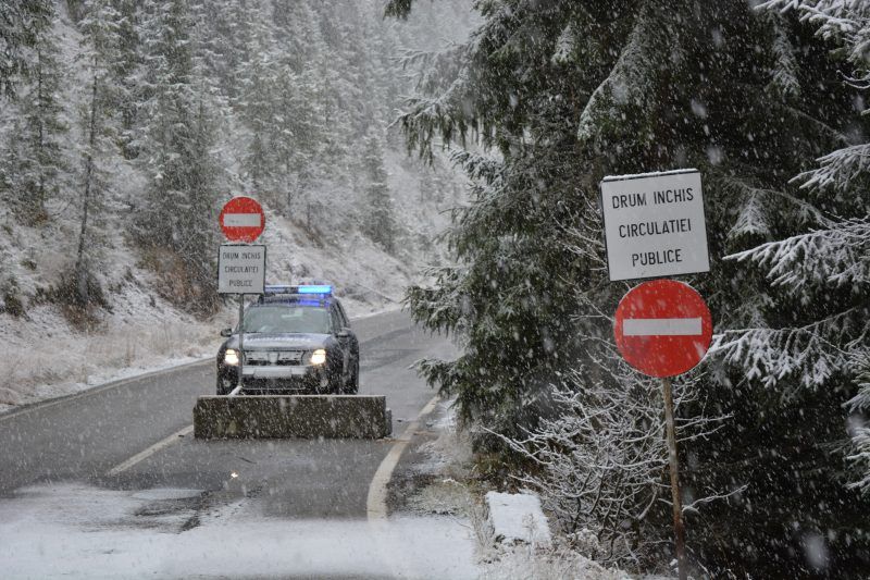 A nins pe Transalpina