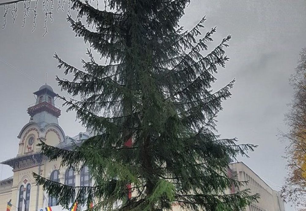 Cât costă bradul de Crăciun de la Târgu Jiu