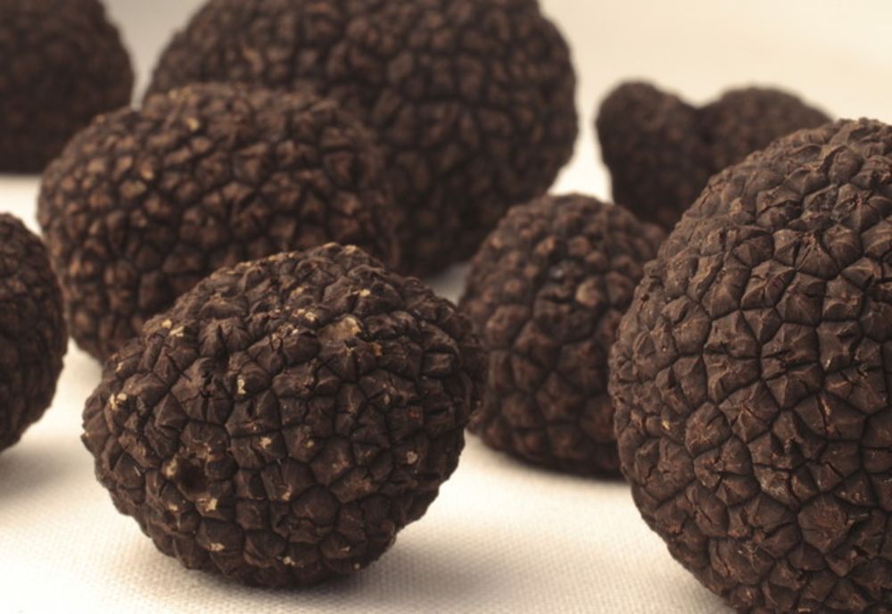 Amendat cu aproape un leu pentru fiecare gram de trufe