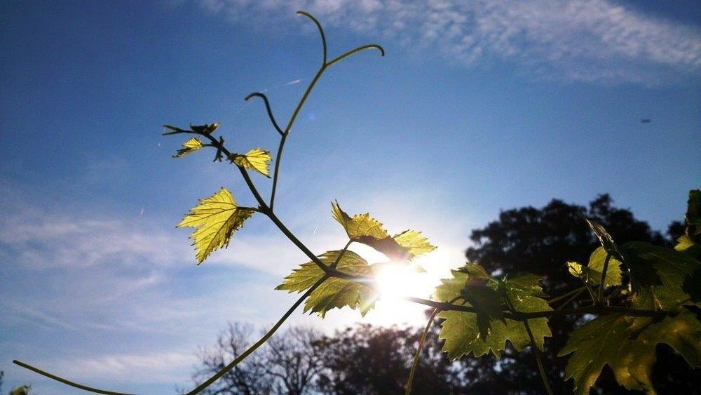De la aer polar, la aer tropical, în Gorj! Când se încălzește vremea